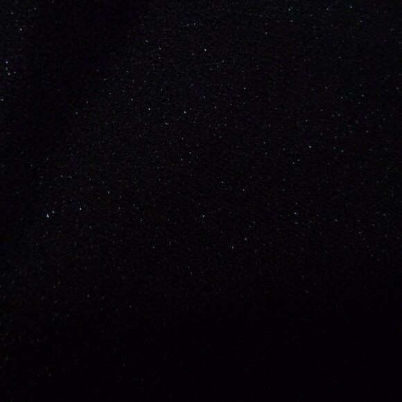 ST.JOHN EVENING EMMA BLACK LIGHT SHIMMER LUXE COCKTAIL PANTS NEW SIZE 10 - Picture 6 of 6